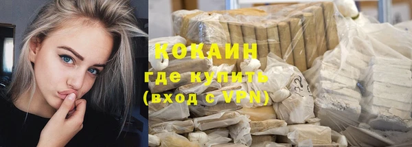 прущие грибы Богородицк