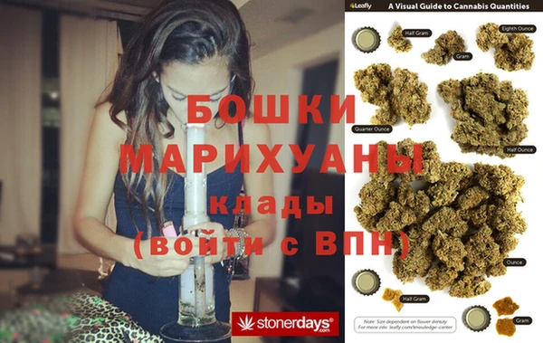 прущие грибы Богородицк