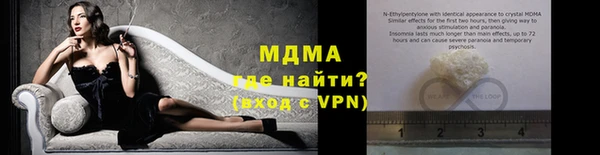 прущие грибы Богородицк