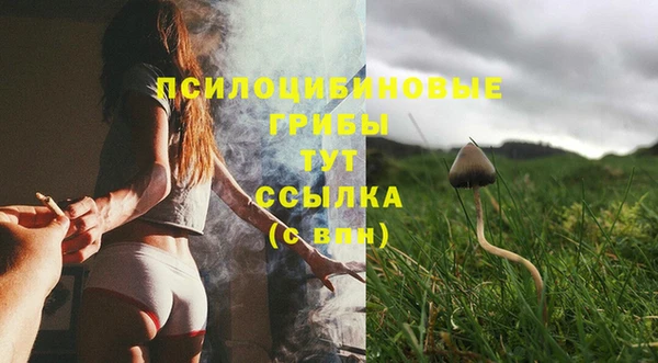 прущие грибы Богородицк