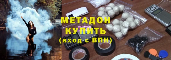 прущие грибы Богородицк