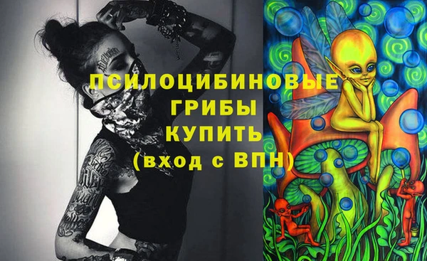 бошки Богородск
