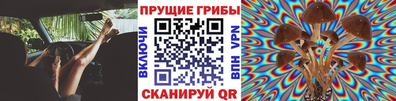 наркошоп  Барыш  Галлюциногенные грибы GOLDEN TEACHER 