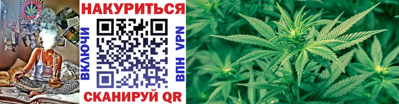 Шишки марихуана White Widow  купить закладку  Барыш 